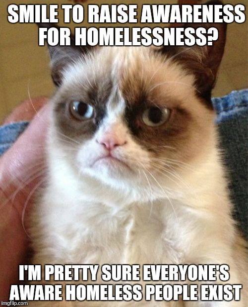 Grumpy Cat Meme | SMILE TO RAISE AWARENESS FOR HOMELESSNESS? I'M PRETTY SURE EVERYONE'S AWARE HOMELESS PEOPLE EXIST | image tagged in memes,grumpy cat | made w/ Imgflip meme maker