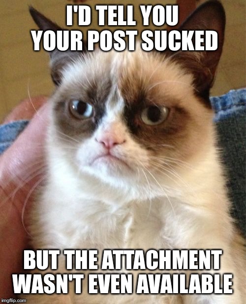 Grumpy Cat Meme | I'D TELL YOU YOUR POST SUCKED; BUT THE ATTACHMENT WASN'T EVEN AVAILABLE | image tagged in memes,grumpy cat | made w/ Imgflip meme maker