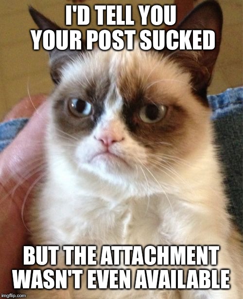 Grumpy Cat | I'D TELL YOU YOUR POST SUCKED; BUT THE ATTACHMENT WASN'T EVEN AVAILABLE | image tagged in memes,grumpy cat | made w/ Imgflip meme maker