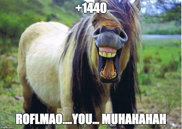 +1440; ROFLMAO....YOU... MUHAHAHAH | image tagged in lulz | made w/ Imgflip meme maker