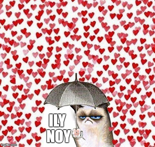  ILY NOY | image tagged in grumpy valentine | made w/ Imgflip meme maker