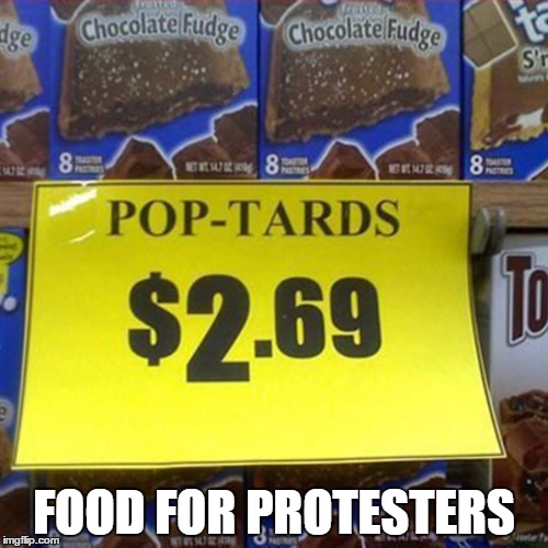 Seems Fitting ! | FOOD FOR PROTESTERS | image tagged in pop tarts,retarded liberal protesters,lib protestors | made w/ Imgflip meme maker