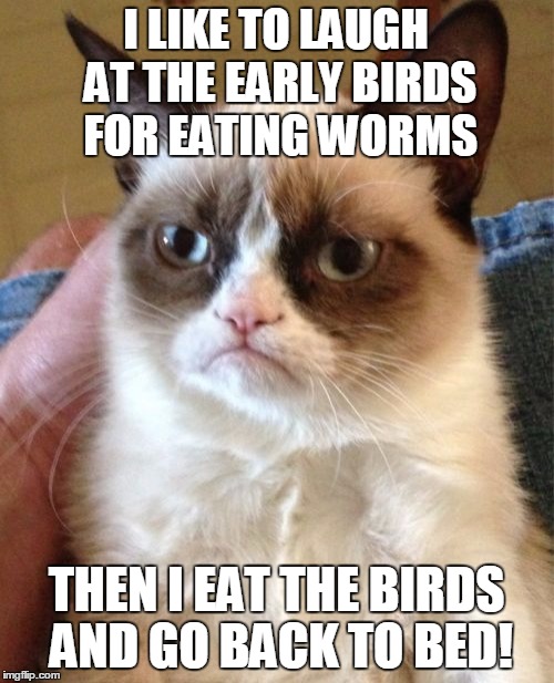 Grumpy Cat Meme | I LIKE TO LAUGH AT THE EARLY BIRDS FOR EATING WORMS THEN I EAT THE BIRDS AND GO BACK TO BED! | image tagged in memes,grumpy cat | made w/ Imgflip meme maker
