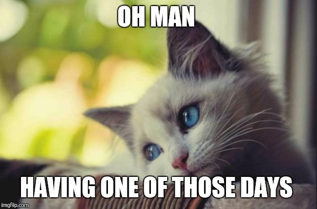 Sad cat | OH MAN; HAVING ONE OF THOSE DAYS | image tagged in sad cat | made w/ Imgflip meme maker