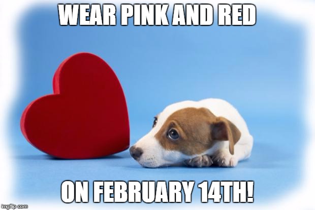 valentinesdog | WEAR PINK AND RED; ON FEBRUARY 14TH! | image tagged in valentinesdog | made w/ Imgflip meme maker