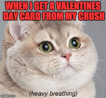 Heavy Breathing Cat Meme | WHEN I GET A VALENTINES DAY CARD FROM MY CRUSH | image tagged in memes,heavy breathing cat | made w/ Imgflip meme maker