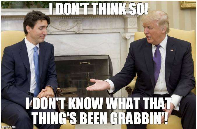 I Don't Think So! | I DON'T THINK SO! I DON'T KNOW WHAT THAT THING'S BEEN GRABBIN'! | image tagged in funny,politics,current events,trump,justin trudeau | made w/ Imgflip meme maker