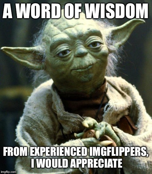 Does anyone have advice for bringing my memes to the next level? Any help will be greatly appreciated! | A WORD OF WISDOM; FROM EXPERIENCED IMGFLIPPERS, I WOULD APPRECIATE | image tagged in memes,star wars yoda,imgflip | made w/ Imgflip meme maker