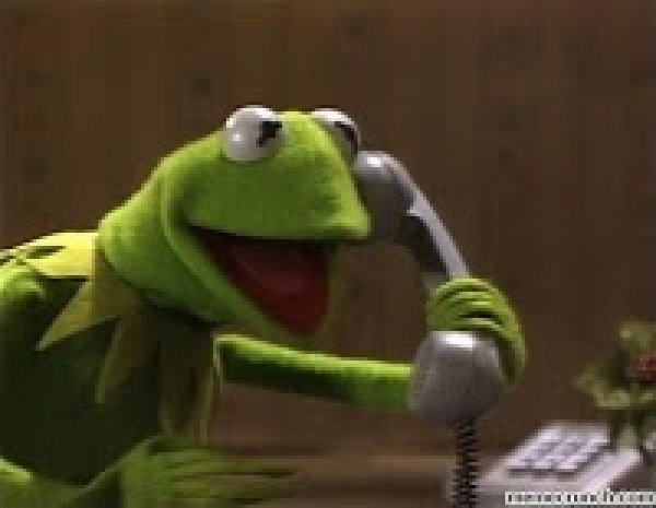 High Quality Kermit The Frog At Phone Blank Meme Template