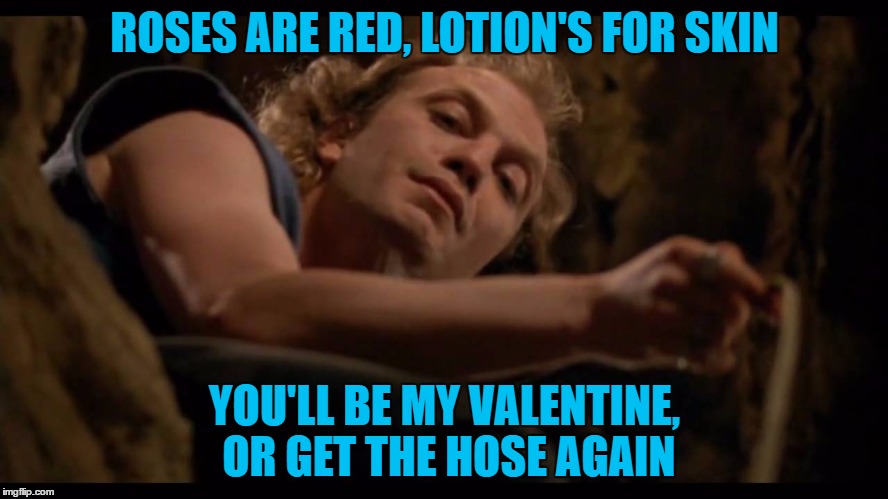 A Valentine's Day Poem From Lynch1979 & Buffalo Bill | ROSES ARE RED, LOTION'S FOR SKIN; YOU'LL BE MY VALENTINE, OR GET THE HOSE AGAIN | image tagged in it puts the lotion on the skin | made w/ Imgflip meme maker