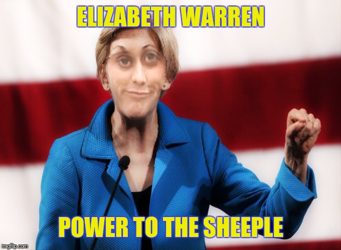 Losing her seat would be a benefit to this country | ELIZABETH WARREN; POWER TO THE SHEEPLE | image tagged in fake | made w/ Imgflip meme maker