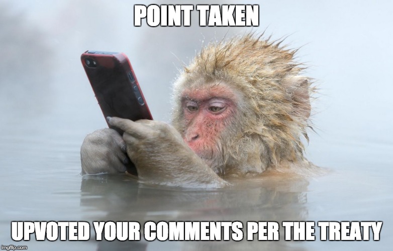 monkey in a hot tub with iphone | POINT TAKEN UPVOTED YOUR COMMENTS PER THE TREATY | image tagged in monkey in a hot tub with iphone | made w/ Imgflip meme maker