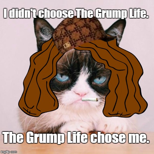 The Grump Life | I didn't choose The Grump Life. The Grump Life chose me. | image tagged in thug life,grumpy cat | made w/ Imgflip meme maker