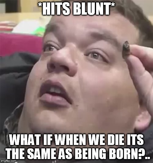 Stoned Guy | *HITS BLUNT*; WHAT IF WHEN WE DIE ITS THE SAME AS BEING BORN?.. | image tagged in stoned guy | made w/ Imgflip meme maker