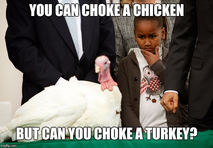 White House Turkey | YOU CAN CHOKE A CHICKEN BUT CAN YOU CHOKE A TURKEY? | image tagged in white house turkey | made w/ Imgflip meme maker
