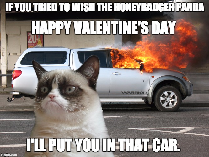 Grumpy Cat Car on Fire | IF YOU TRIED TO WISH THE HONEYBADGER PANDA; HAPPY VALENTINE'S DAY; I'LL PUT YOU IN THAT CAR. | image tagged in grumpy cat car on fire | made w/ Imgflip meme maker
