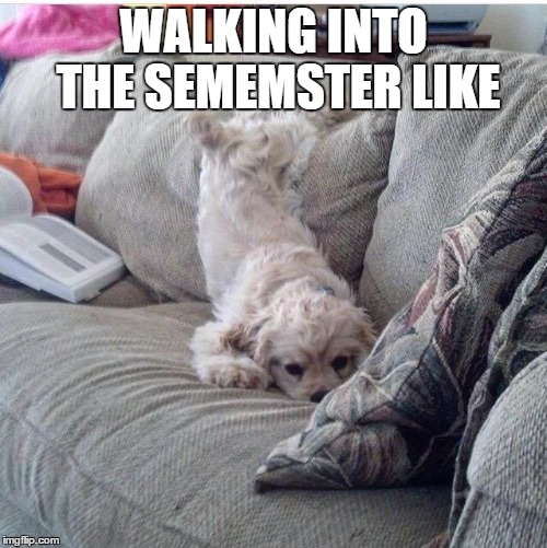 WALKING INTO THE SEMEMSTER LIKE | image tagged in college,semester,laziness,death,college life | made w/ Imgflip meme maker