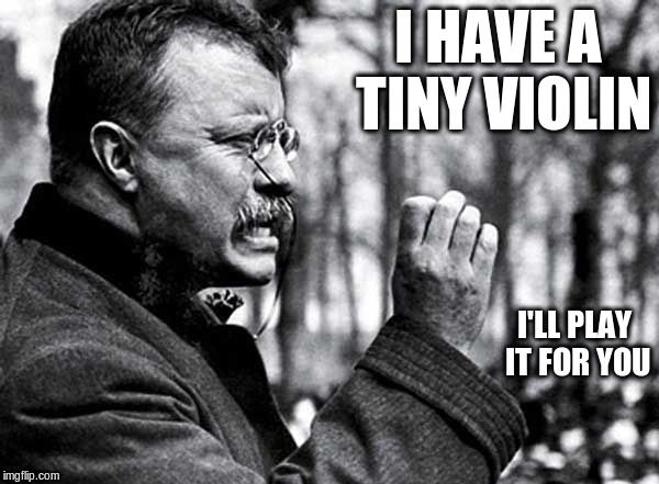 I HAVE A TINY VIOLIN; I'LL PLAY IT FOR YOU | image tagged in funny,sarcasm | made w/ Imgflip meme maker