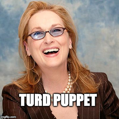 LIBERAL MELT DOWN CONTINUES..... | TURD PUPPET | image tagged in donald trump approves | made w/ Imgflip meme maker