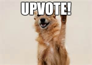 Dog paw | UPVOTE! | image tagged in dog paw | made w/ Imgflip meme maker