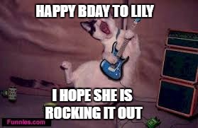 Happy birthday cat |  HAPPY BDAY TO LILY; I HOPE SHE IS ROCKING IT OUT | image tagged in cat,happy birthday,lily | made w/ Imgflip meme maker