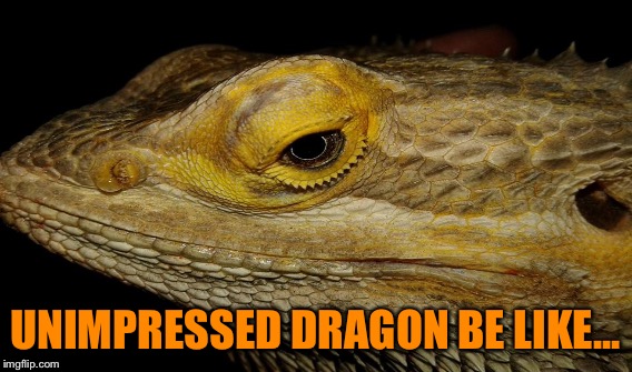 UNIMPRESSED DRAGON BE LIKE... | made w/ Imgflip meme maker