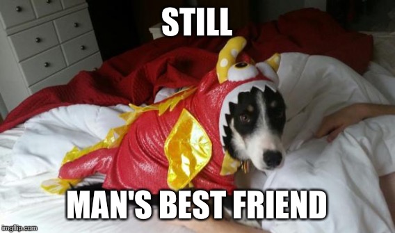 STILL MAN'S BEST FRIEND | made w/ Imgflip meme maker