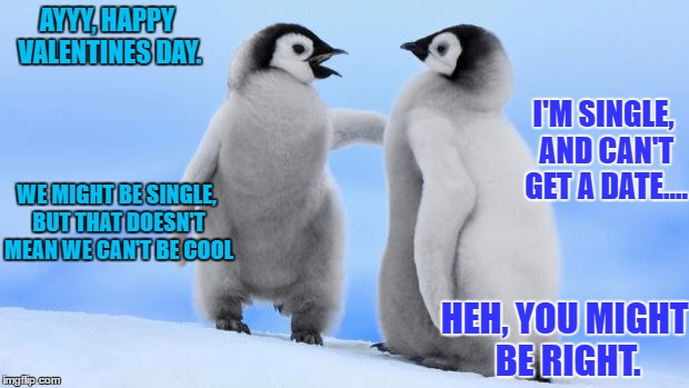Penguin love | AYYY, HAPPY VALENTINES DAY. I'M SINGLE, AND CAN'T GET A DATE.... WE MIGHT BE SINGLE, BUT THAT DOESN'T MEAN WE CAN'T BE COOL; HEH, YOU MIGHT BE RIGHT. | image tagged in penguin love | made w/ Imgflip meme maker