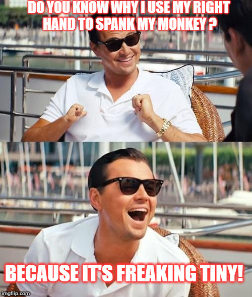 Leonardo Dicaprio Wolf Of Wall Street Meme | DO YOU KNOW WHY I USE MY RIGHT HAND TO SPANK MY MONKEY ? BECAUSE IT'S FREAKING TINY! | image tagged in memes,leonardo dicaprio wolf of wall street | made w/ Imgflip meme maker