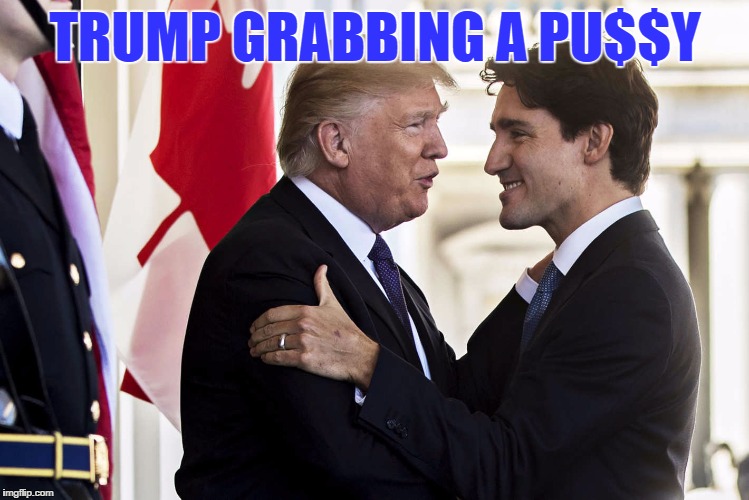 It's true, all of it.. | TRUMP GRABBING A PU$$Y | image tagged in memes,canada,donald trump,stupid liberals | made w/ Imgflip meme maker