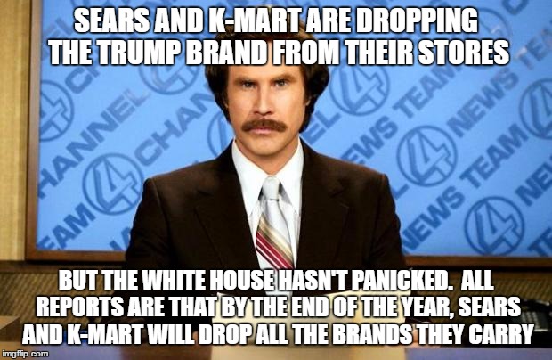 anchorman | SEARS AND K-MART ARE DROPPING THE TRUMP BRAND FROM THEIR STORES; BUT THE WHITE HOUSE HASN'T PANICKED.  ALL REPORTS ARE THAT BY THE END OF THE YEAR, SEARS AND K-MART WILL DROP ALL THE BRANDS THEY CARRY | image tagged in anchorman | made w/ Imgflip meme maker