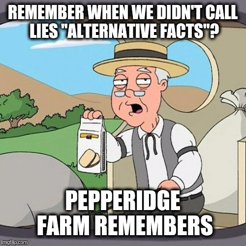 Welcome to 1984, where Americans doublespeak English | REMEMBER WHEN WE DIDN'T CALL LIES "ALTERNATIVE FACTS"? PEPPERIDGE FARM REMEMBERS | image tagged in memes,pepperidge farm remembers,alternative facts | made w/ Imgflip meme maker