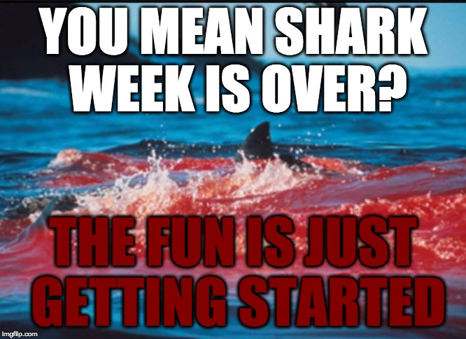 you mean shark week is over? | YOU MEAN SHARK WEEK IS OVER? THE FUN IS JUST GETTING STARTED | image tagged in blood in the water,shark week is over,fun is just getting started | made w/ Imgflip meme maker