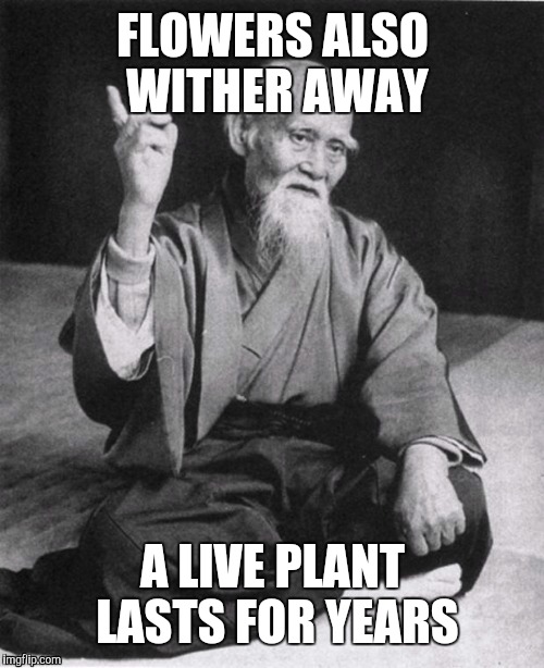 FLOWERS ALSO WITHER AWAY A LIVE PLANT LASTS FOR YEARS | made w/ Imgflip meme maker