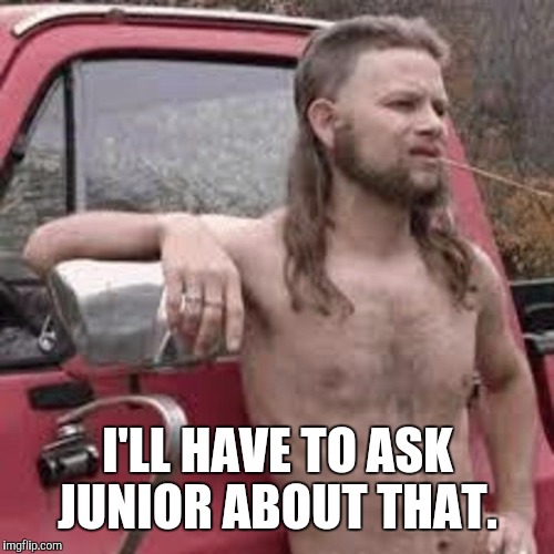 I'LL HAVE TO ASK JUNIOR ABOUT THAT. | made w/ Imgflip meme maker