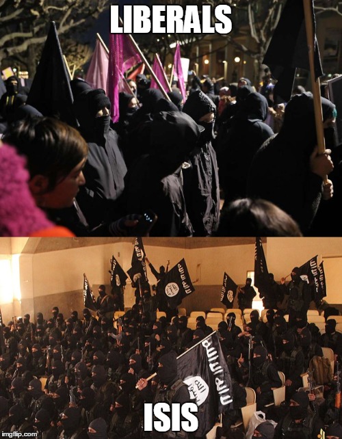 Any Questions? | LIBERALS; ISIS | image tagged in liberals,isis,same,black masks | made w/ Imgflip meme maker