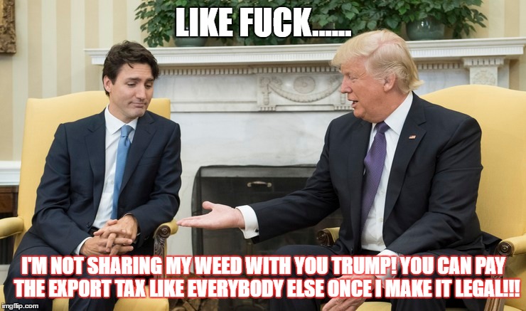 That's my weed | LIKE FUCK...... I'M NOT SHARING MY WEED WITH YOU TRUMP! YOU CAN PAY  THE EXPORT TAX LIKE EVERYBODY ELSE ONCE I MAKE IT LEGAL!!! | image tagged in weed,donald trump,trudeau,canada,usa | made w/ Imgflip meme maker
