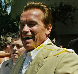 High Quality Arnold Gets Egged Blank Meme Template