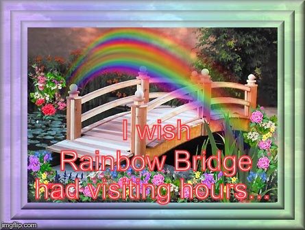 Rainbow Bridge  | Rainbow Bridge; I wish; had visiting hours... | image tagged in rainbow,mum | made w/ Imgflip meme maker