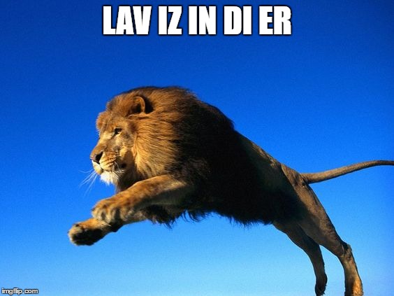 lav iz in di er | LAV IZ IN DI ER | image tagged in valentine day | made w/ Imgflip meme maker