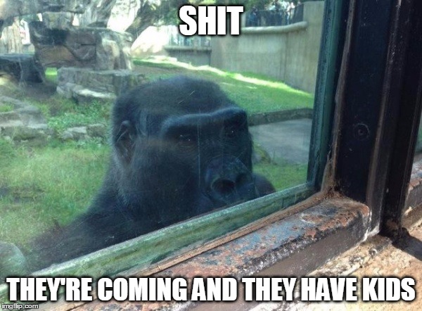 Gorilla | SHIT; THEY'RE COMING AND THEY HAVE KIDS | image tagged in windows watching | made w/ Imgflip meme maker