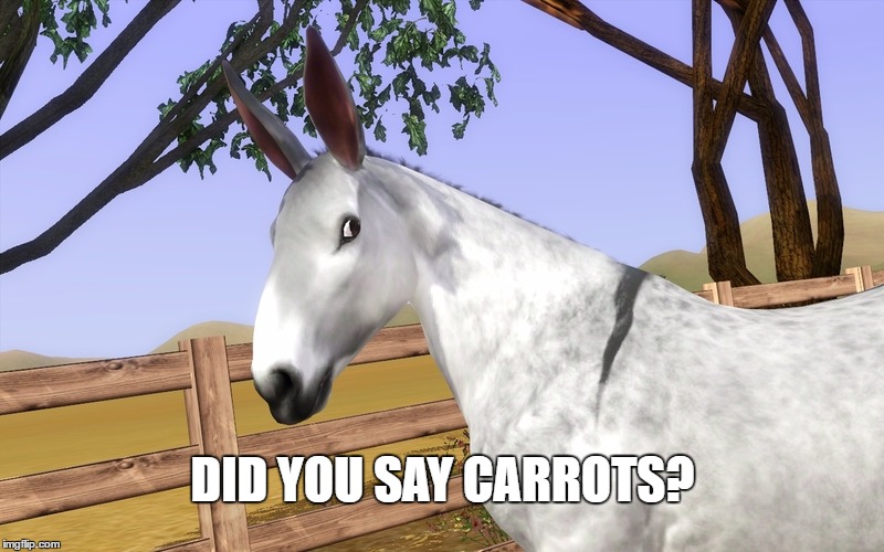 DID YOU SAY CARROTS? | made w/ Imgflip meme maker