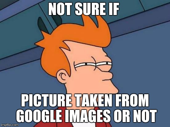 Futurama Fry | NOT SURE IF; PICTURE TAKEN FROM GOOGLE IMAGES OR NOT | image tagged in memes,futurama fry | made w/ Imgflip meme maker