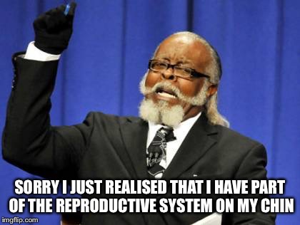 Too Damn High | SORRY I JUST REALISED THAT I HAVE PART OF THE REPRODUCTIVE SYSTEM ON MY CHIN | image tagged in memes,too damn high | made w/ Imgflip meme maker