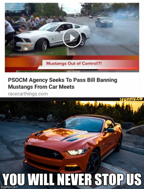 YOU WILL NEVER STOP US | image tagged in memes,carmeme,mustang,funny memes | made w/ Imgflip meme maker