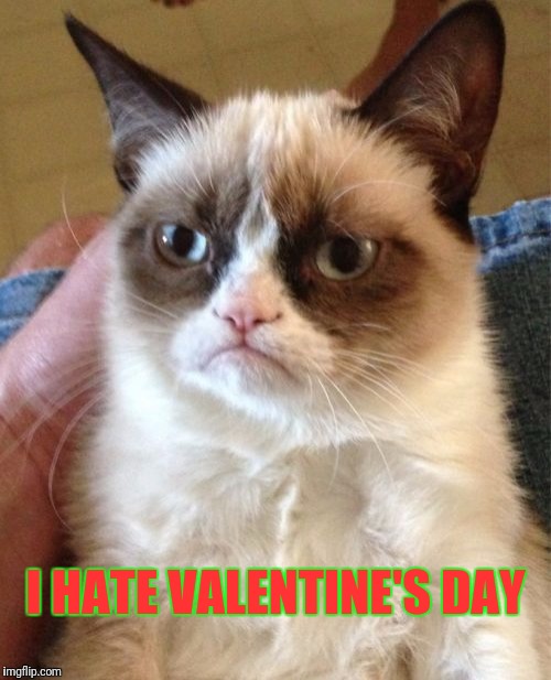 Grumpy Cat Meme | I HATE VALENTINE'S DAY | image tagged in memes,grumpy cat | made w/ Imgflip meme maker