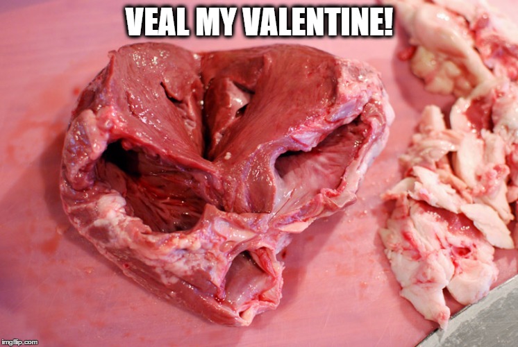 VEAL MY VALENTINE! | image tagged in veal my valentine | made w/ Imgflip meme maker