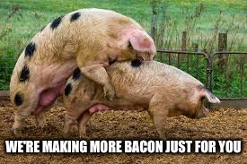 WE'RE MAKING MORE BACON JUST FOR YOU | made w/ Imgflip meme maker