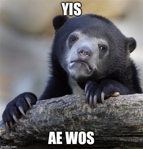 Confession Bear Meme | YIS AE WOS | image tagged in memes,confession bear | made w/ Imgflip meme maker