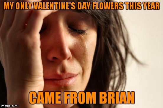 First World Problems Meme | MY ONLY VALENTINE'S DAY FLOWERS THIS YEAR CAME FROM BRIAN | image tagged in memes,first world problems | made w/ Imgflip meme maker